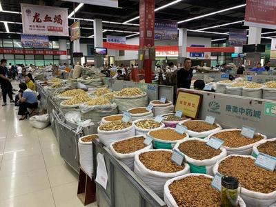 中部崛起勢(shì)正勁 安徽亳州如何“抓一把中藥，服下一帖驕傲”？——從傳統(tǒng)藥都到現(xiàn)代商品批發(fā)貿(mào)易中心的轉(zhuǎn)型之路